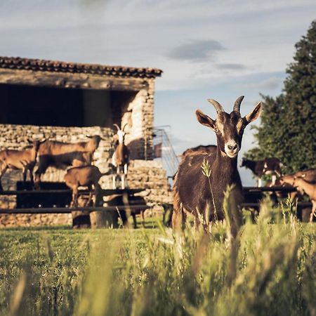 Le Domaine Du Castellas Sivergues 외부 사진